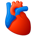 Componenti Cardiologia